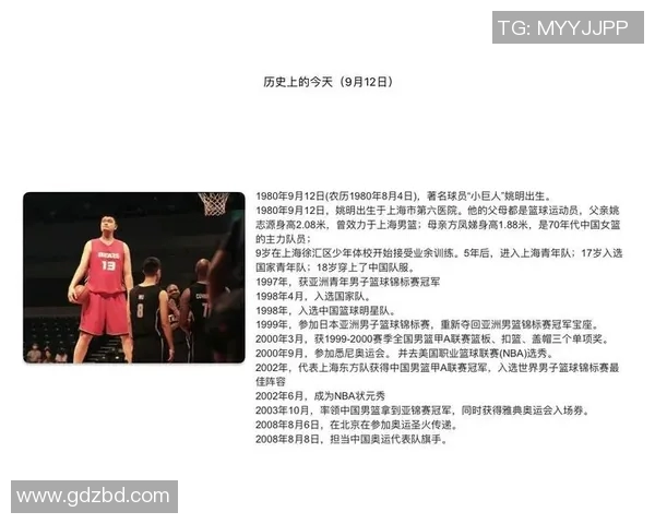 扎篮球明星的传奇之路与未来发展潜力的深度剖析